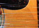 Martin D35 Twelve String 1966 Brazilian Rosewood